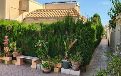 Jardí de Casa o xalet en venda en Torrevieja amb Moblat