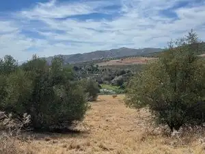 Land for sale in Monda