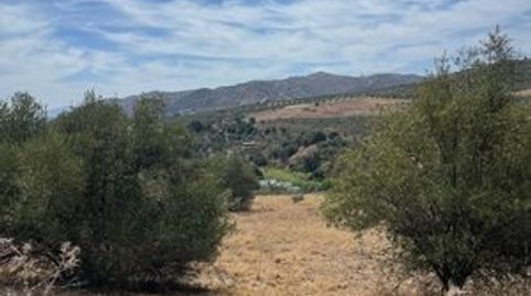 Terreno con olivos en venta en Guaro, immagine 4