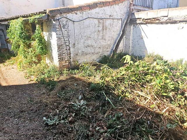 Finca rústica en Venta en bodegas en Atea