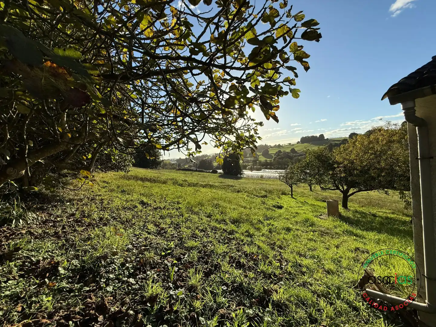 Terreno rustico in vendita a Carreño - Rebollada, imagen 20
