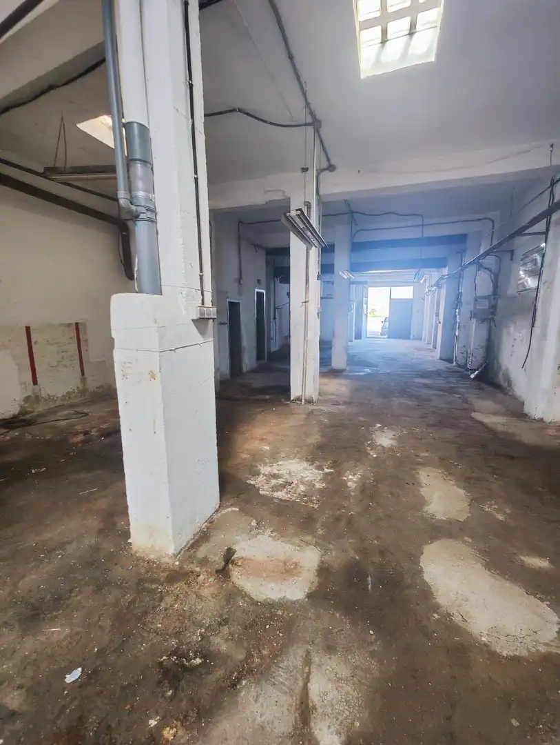 Geschaftsraum zur Miete in Valencia