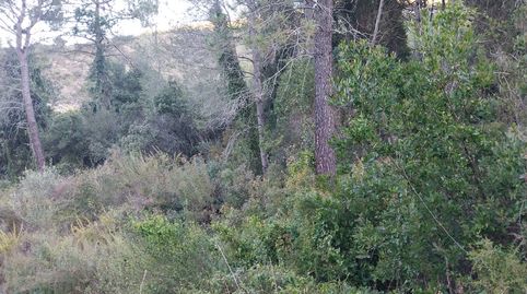 Terreno en pozo Adria Barx, immagine 3
