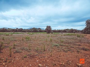 Rural land for sale in Santa Bàrbara