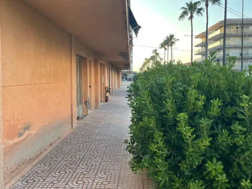 Vista exterior de Trastero en venta en Daimús