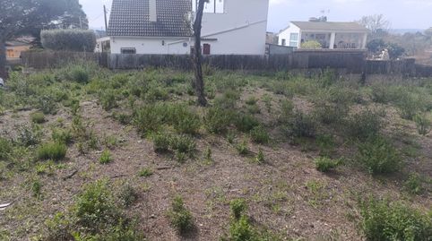 Terreno en Sils, Les Comes., imatge 4