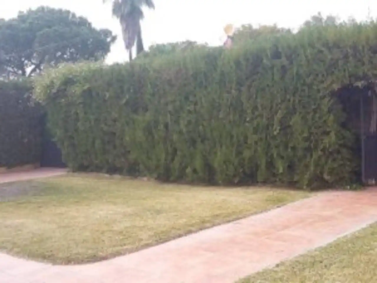 Garden of Houses for rent in Carmona  with Air Conditioner, Heating and Private garden