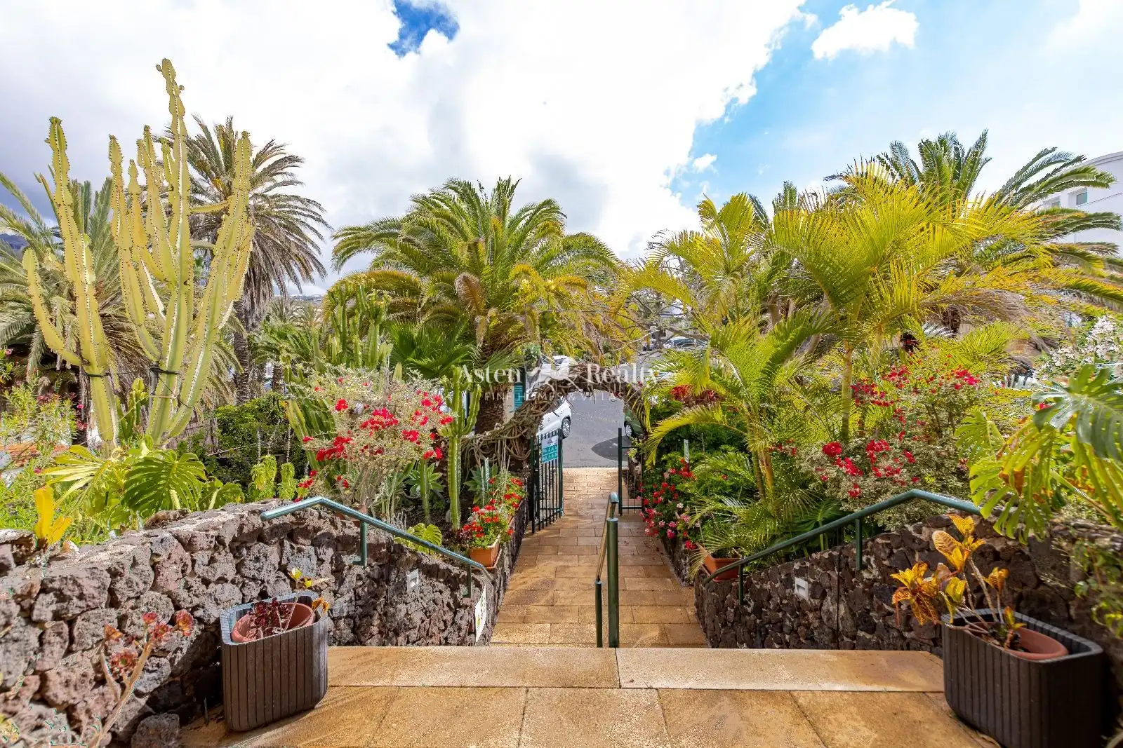 Jardí de Edifici en venda en Arona