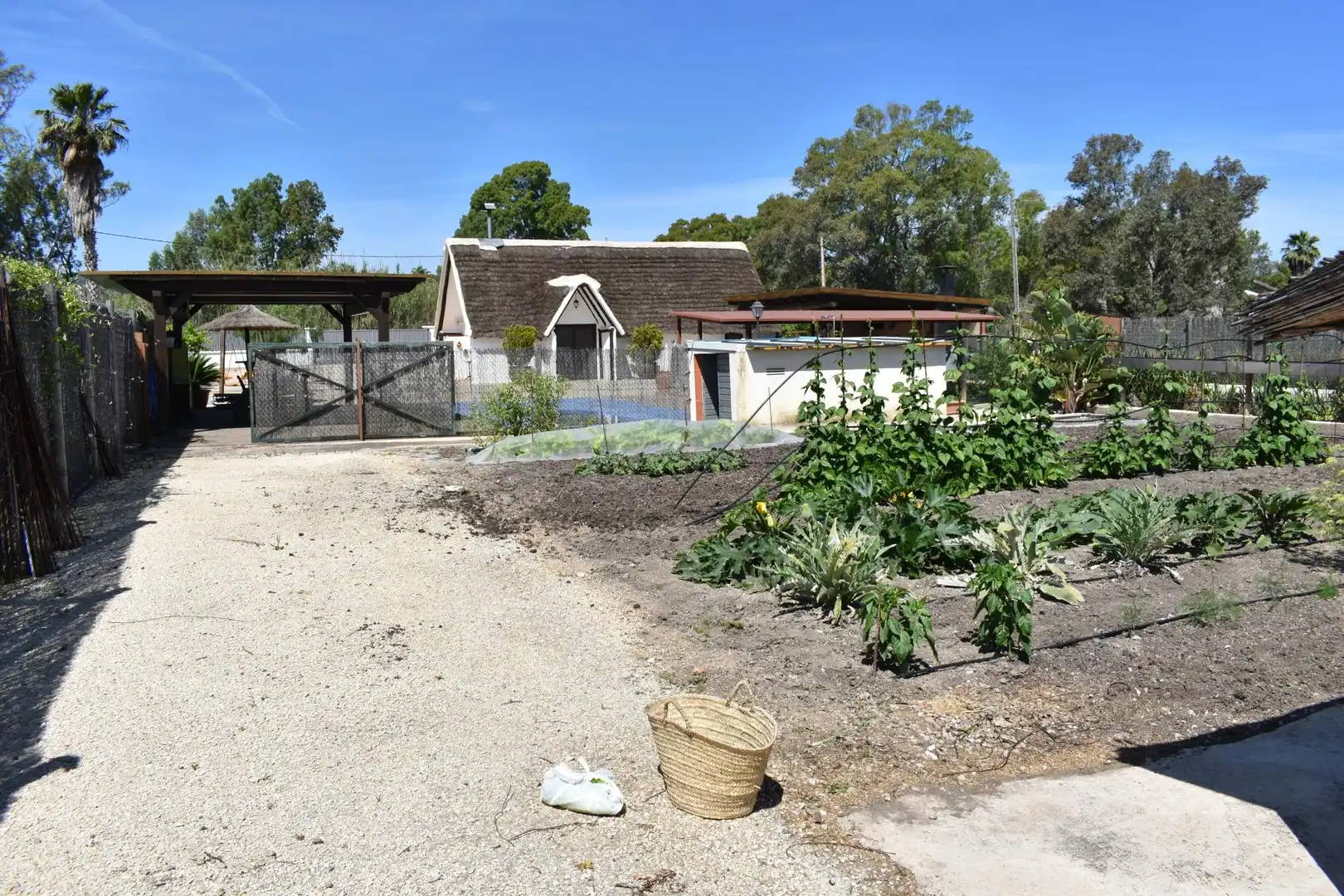 Finca rústica en venda a Eucaliptus - Poble Nou del Delta