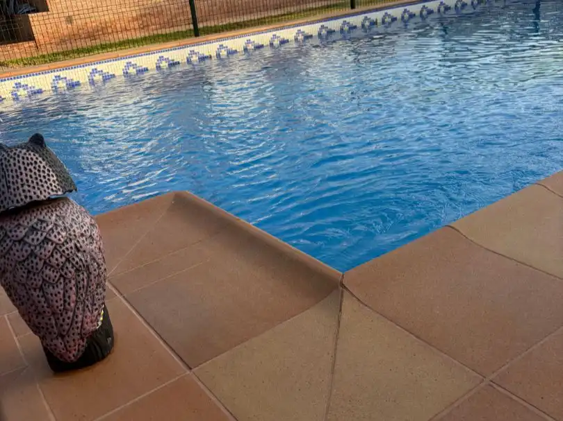 Piscina de Casa o xalet en venda en Carmona amb Aire condicionat, Jardí privat i Terrassa