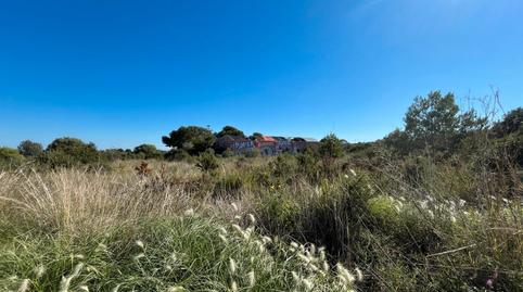 Photo 3 of Industrial land for sale in Plaça Poligono 18, 8, Las Atalayas - Urmi - Cerro de Mar, Castellón