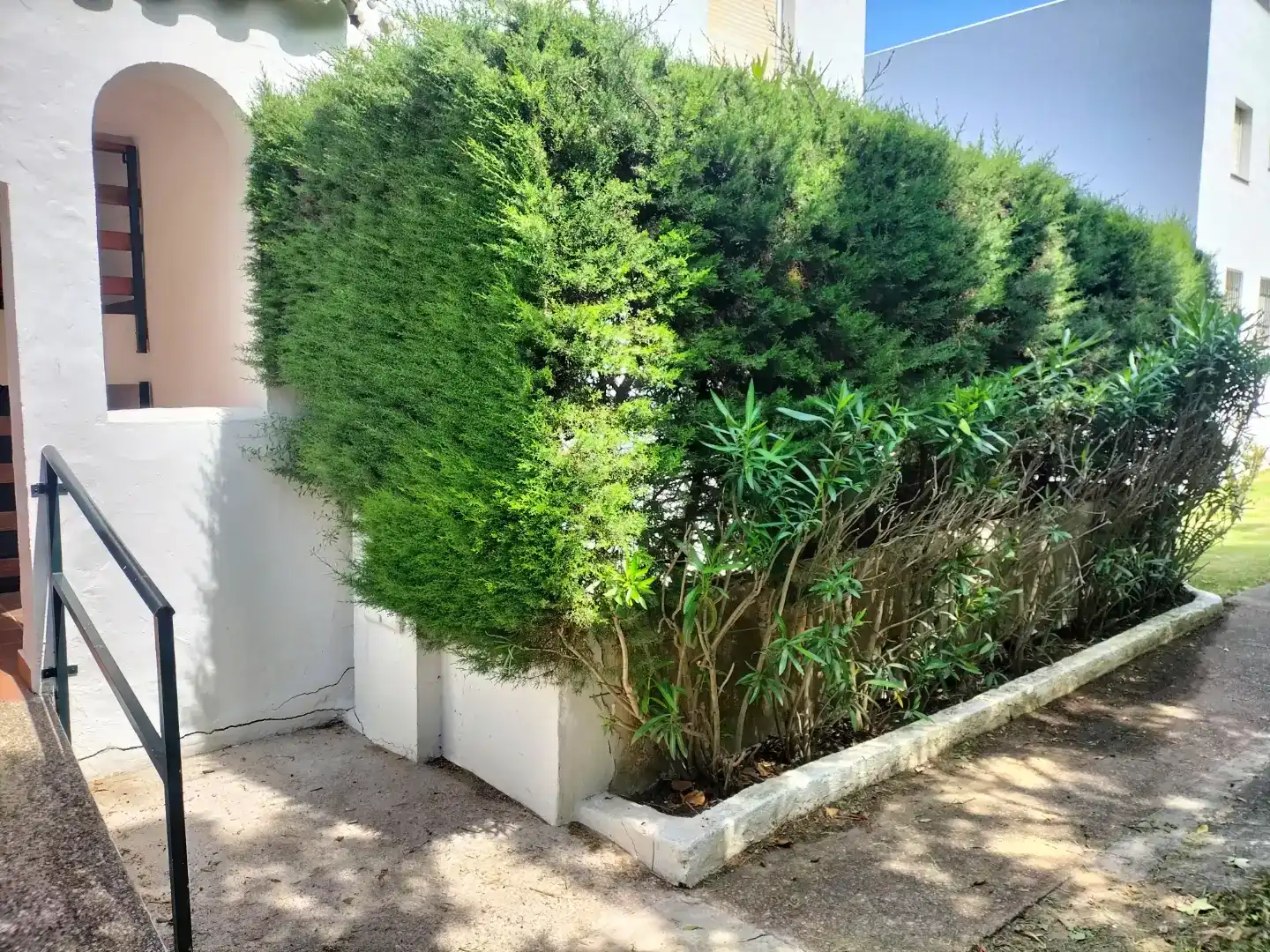 Jardí de Pis de lloguer en Zahara de los Atunes amb Aire condicionat, Piscina i Moblat