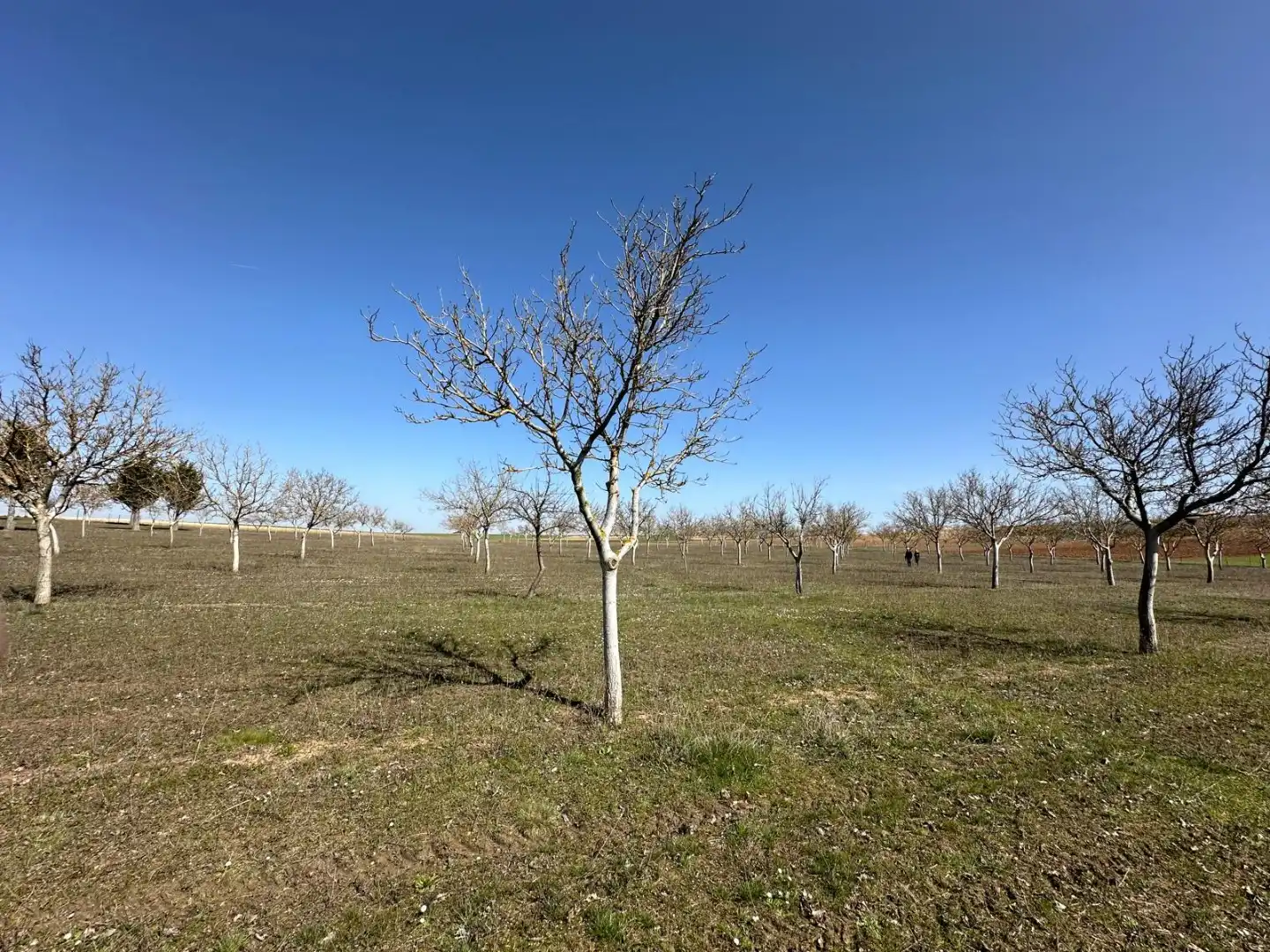 Houses for sale in Arlanzón  with Private garden