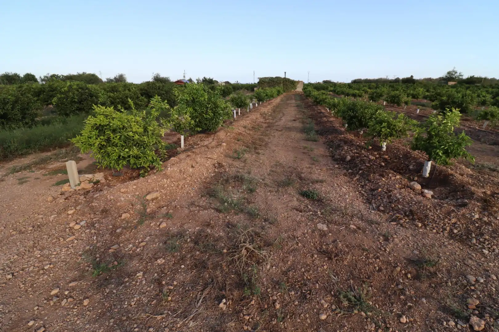 Terreny en venda en Vinaròs