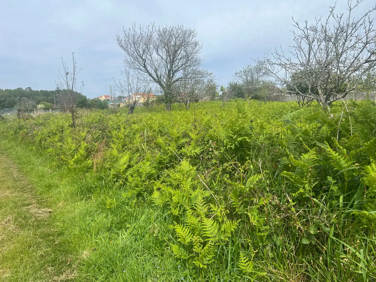 Terrenys i solars en venda a A Malata - Catabois - Ciudad Jardín, imagen 5