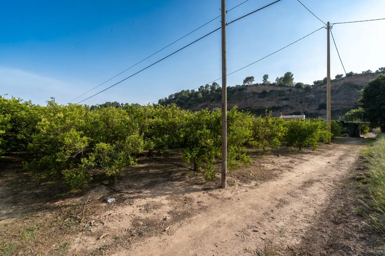 Local en venta en Aldover