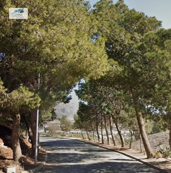 Vista exterior de Casa o xalet en venda en Benahadux amb Jardí privat