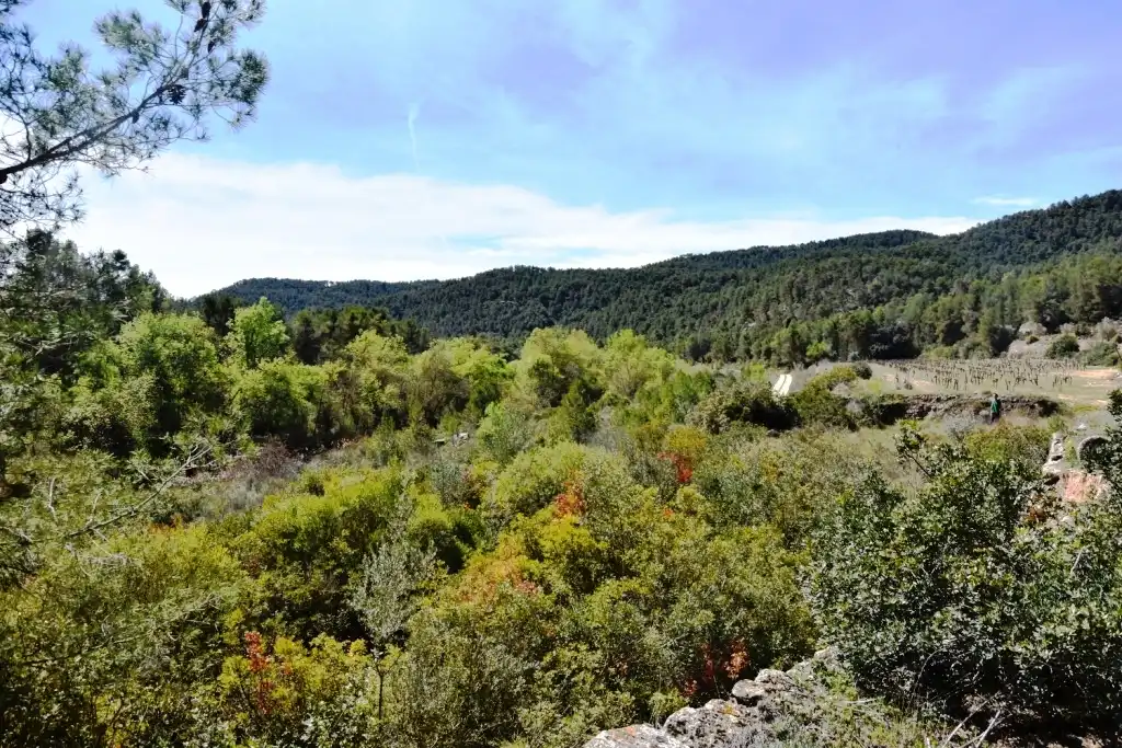 Terreni e lotti in vendita a Arens de Lledó, imagen 6