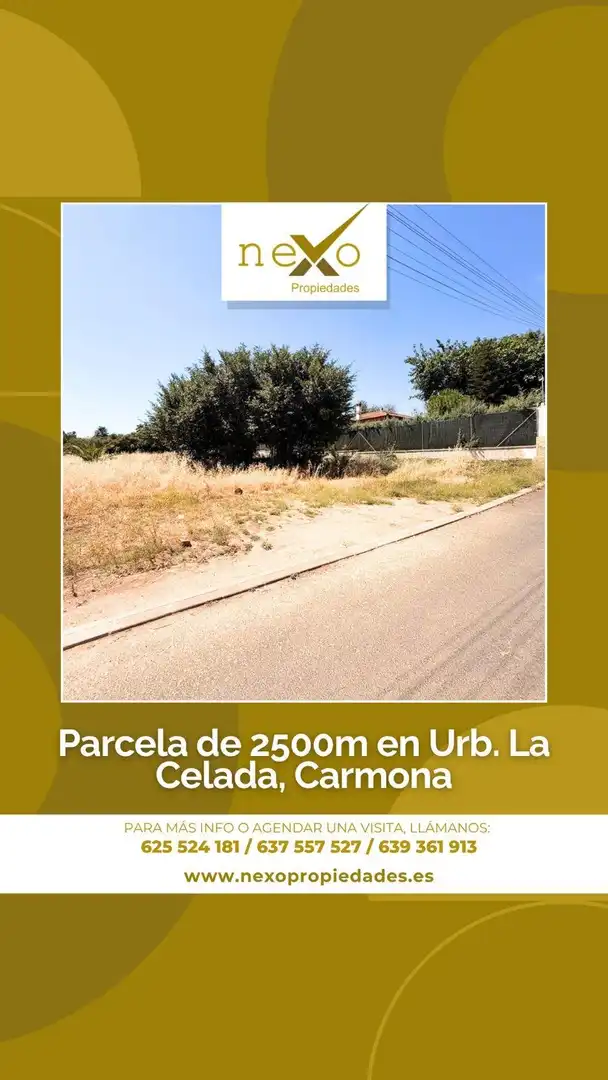 Terreni e lotti in vendita a Carmona