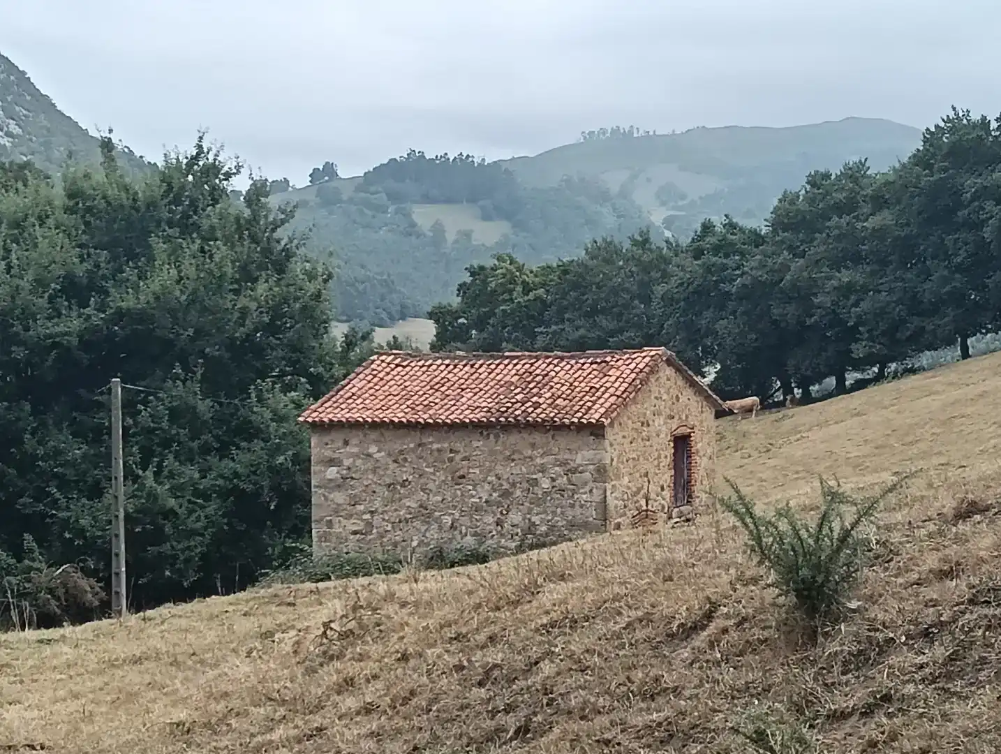 Vista exterior de Casa o xalet en venda en Puente Viesgo