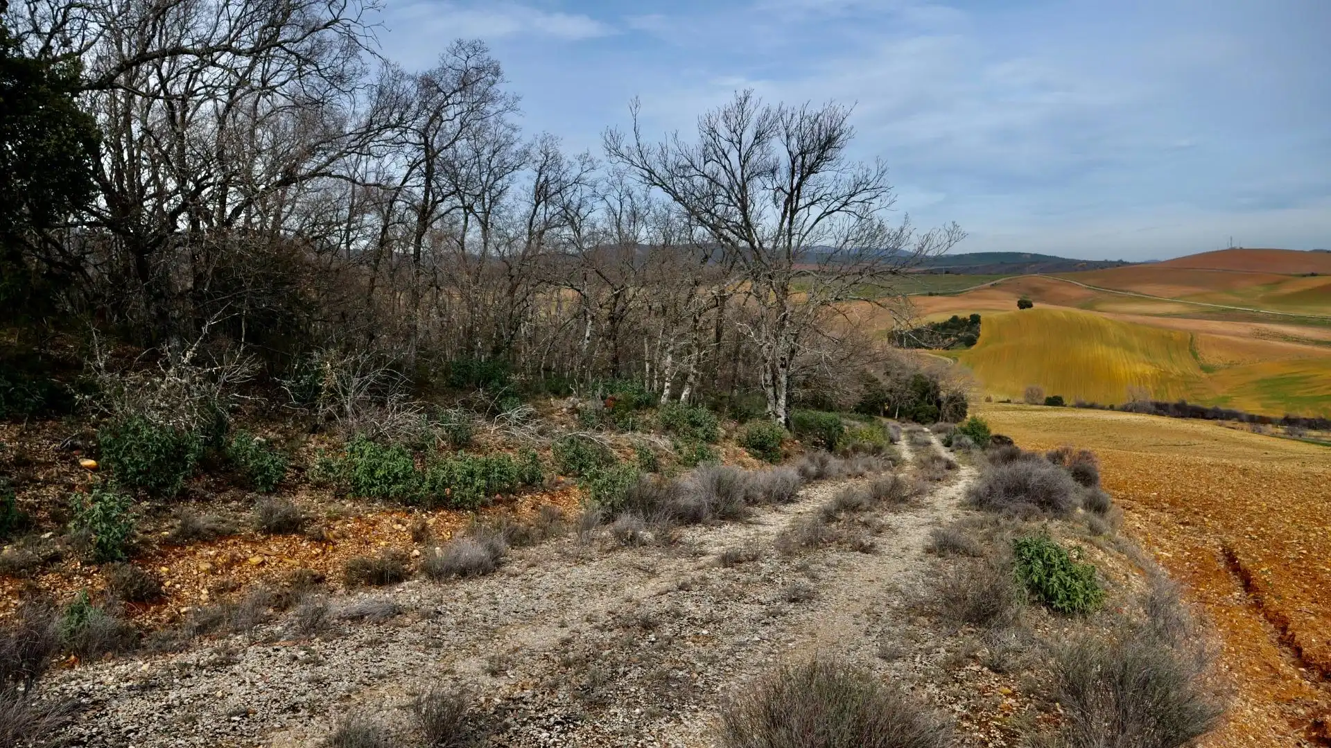 Land for sale in Arbancón