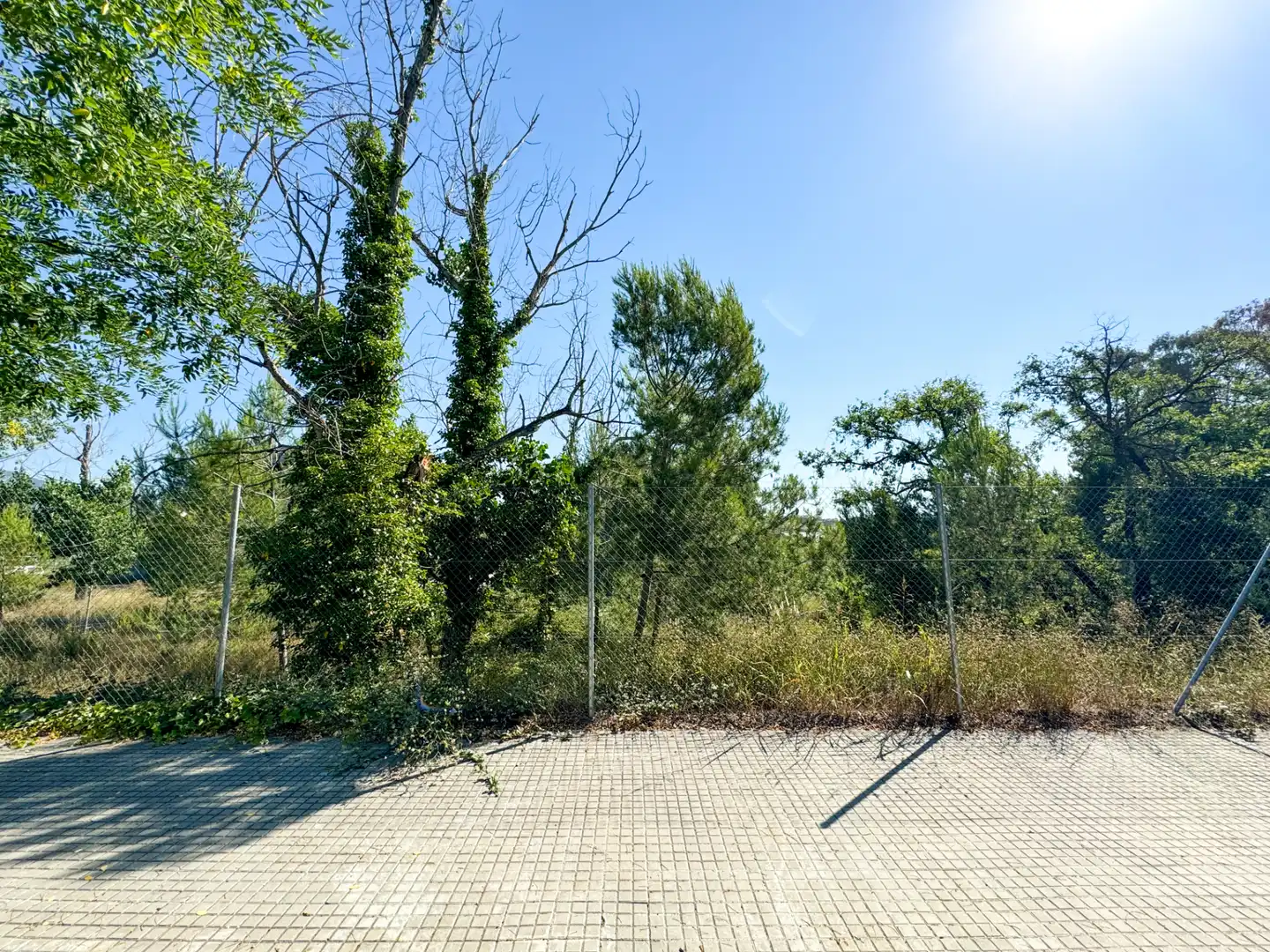 Terreno residencial en venta en Carrer de les Repassadores 5