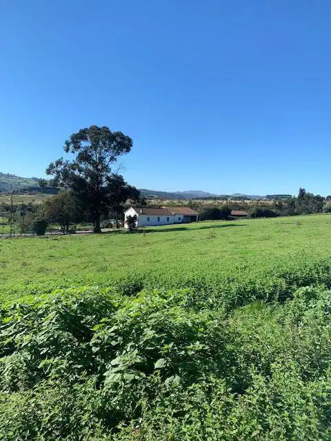 Vista exterior de Residencial en venta en Gijón 