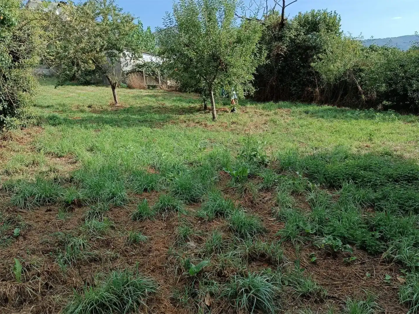 Terreno en venta en Maceda, Ourense