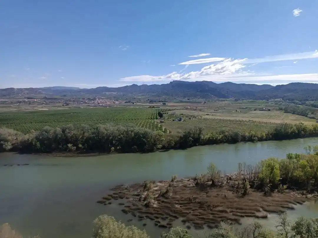 Casa o chalet en venta en Ascó con Balcón