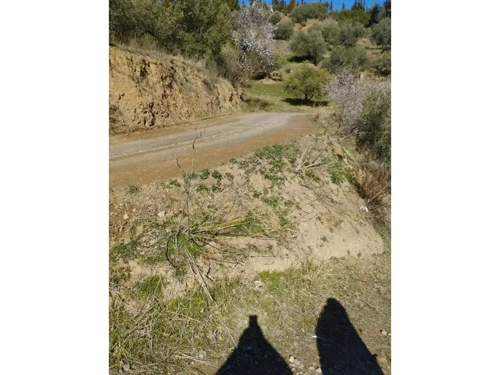 Casa o chalet en venta en Riogordo