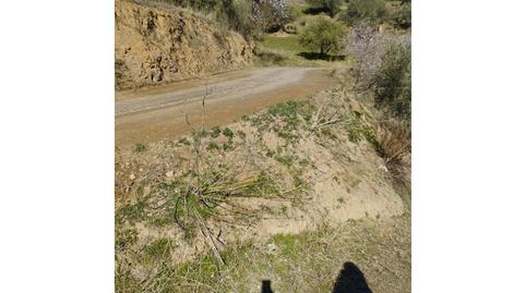 Foto 4 de Casa o xalet en venda a Riogordo, Málaga