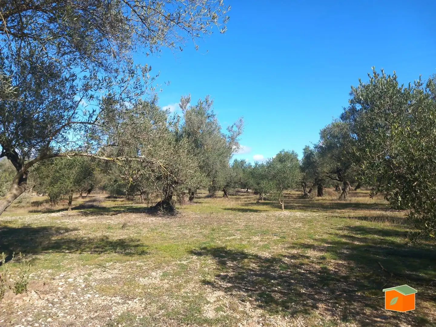 Terreno rustico in vendita a Mas de Barberans, imagen 23