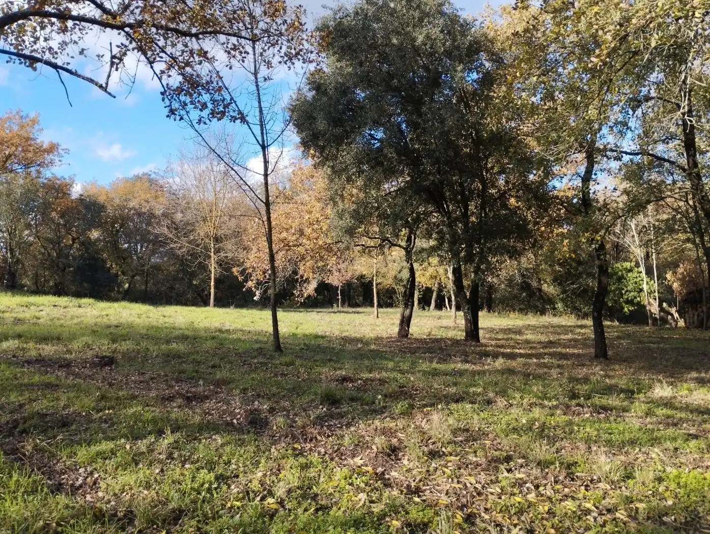 Finca rústica en venda en Quart