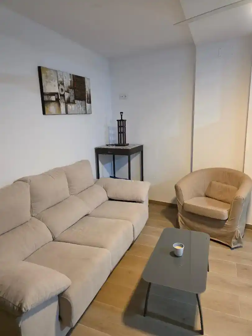 Living room of Flat for rent in Elche / Elx  with Air Conditioner, Private garden and Furnished