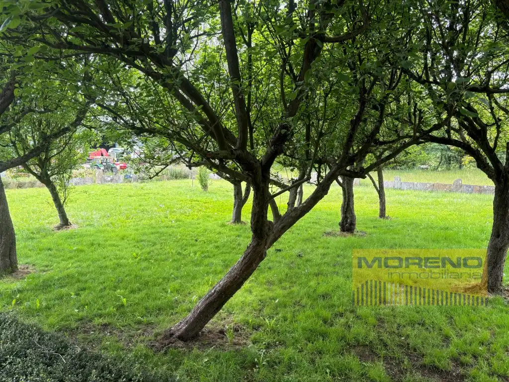 Finca rústica en venta en Sarria