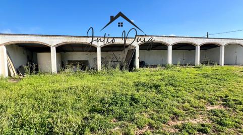 Photo 3 of Land for sale in Almensilla, Sevilla