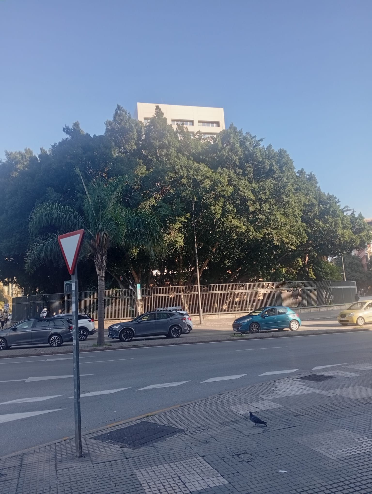 Vista exterior de Local de lloguer en Málaga Capital