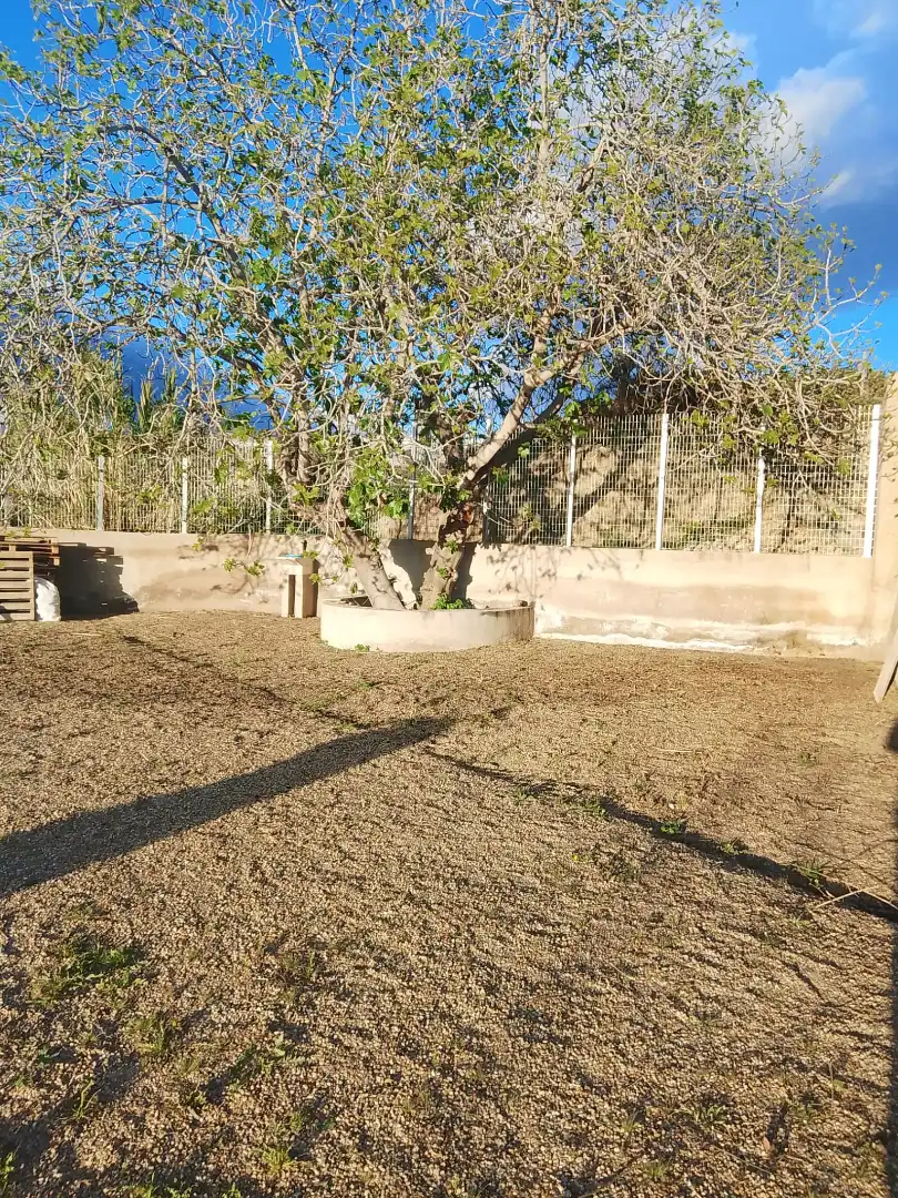 Rustikales Grundstück zum Verkauf in Carretera el Mami a Viator 14, imagen 4