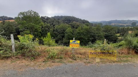 FINCA RÚSTICA, Bild 2