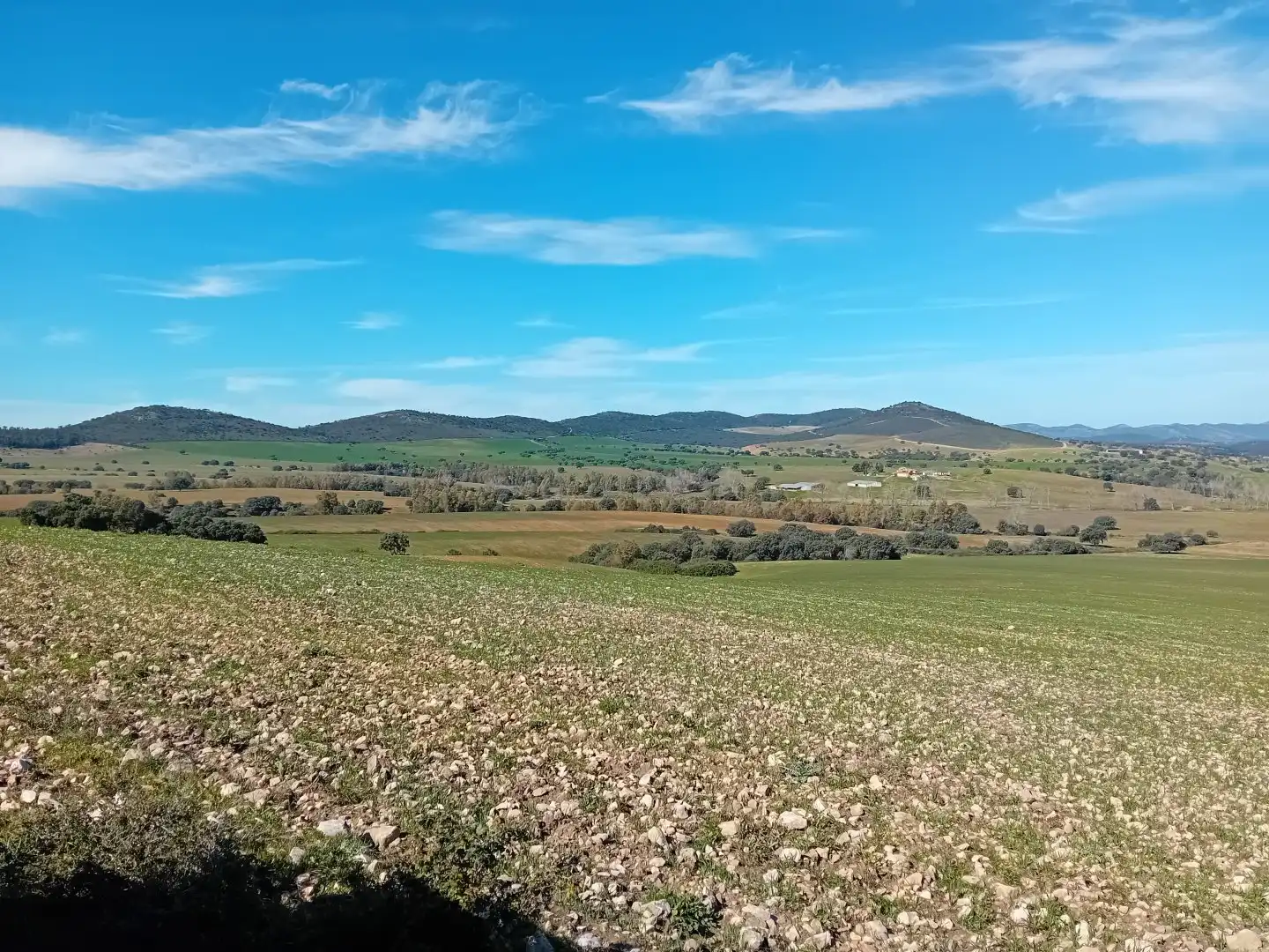 Residential for sale in Puebla de Don Rodrigo