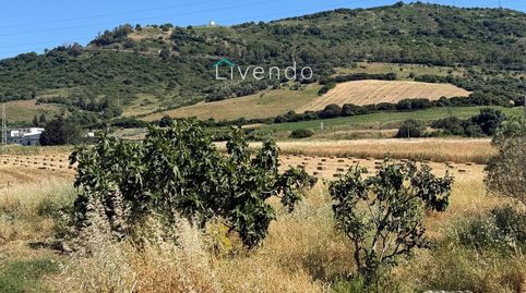 VIVE RODEADO DE NATURALEZA Y CON VISTAS ÚNICAS A VEJER, Bild 2