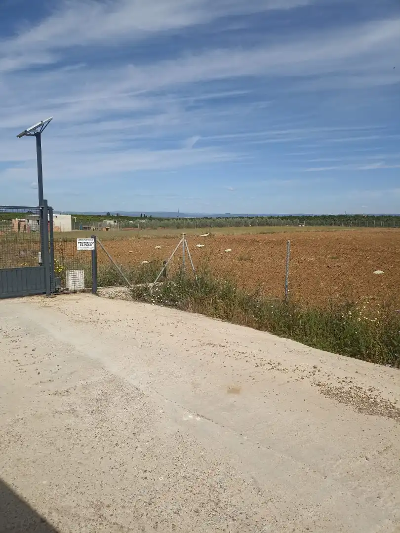 Terreny rústic en venda a Fuente Palmera, imagen 4