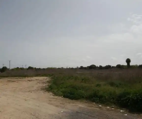 Rustikales Grundstück zum Verkauf in Albal, imagen 11