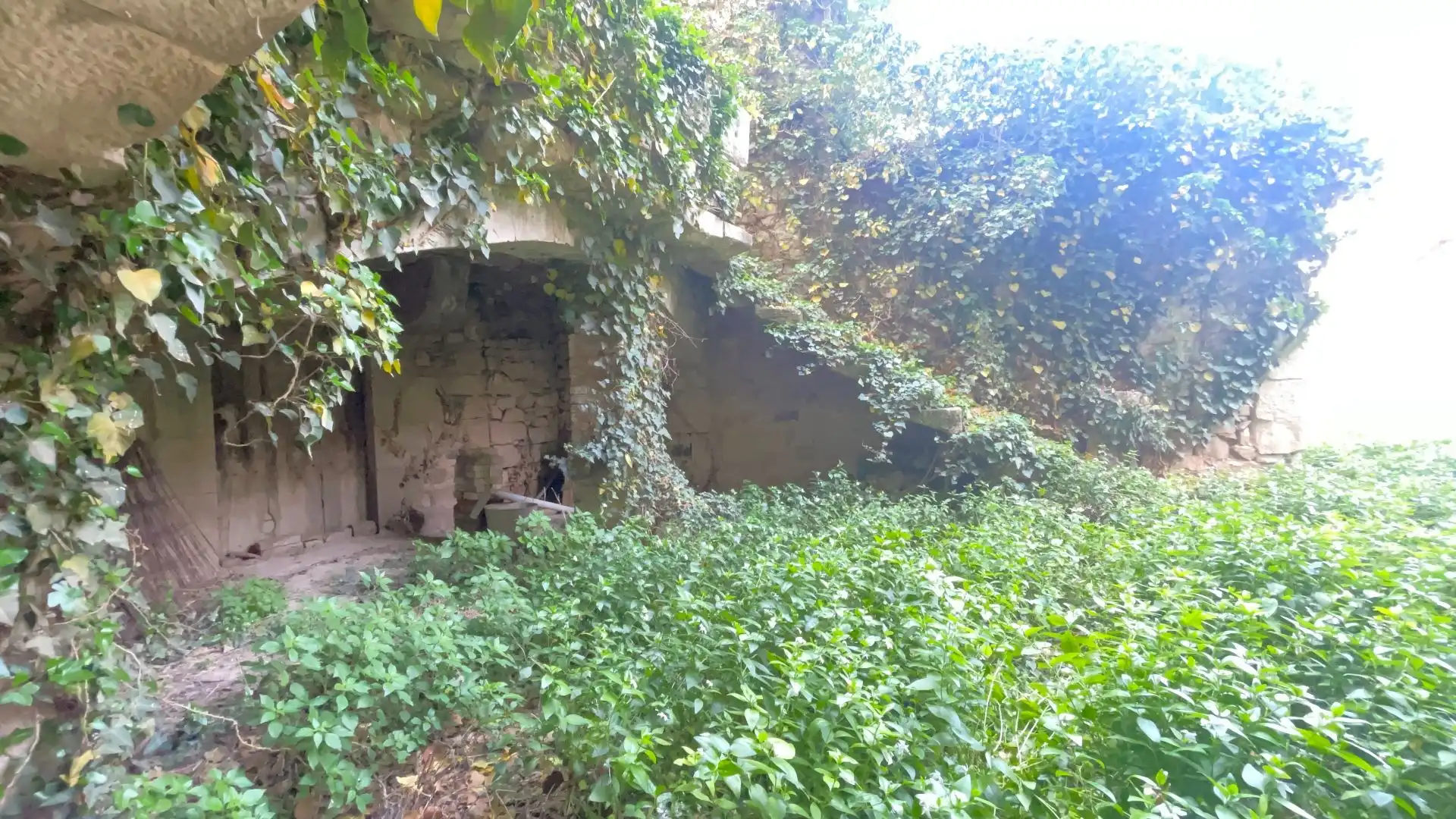 Jardí de Finca rústica en venda en Sant Martí de Riucorb