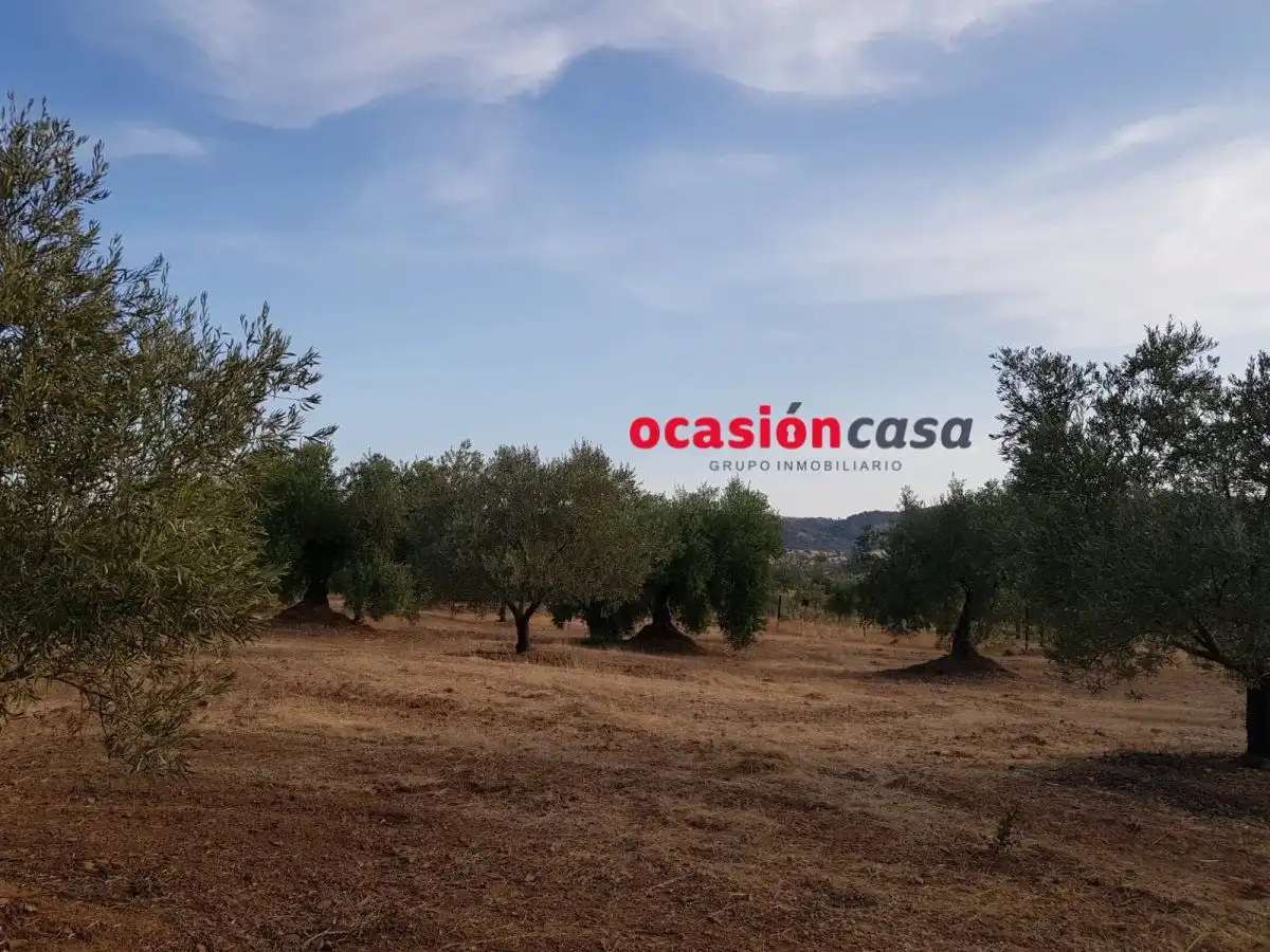 Finca rústica en venta en Espiel con Piscina y Amueblado