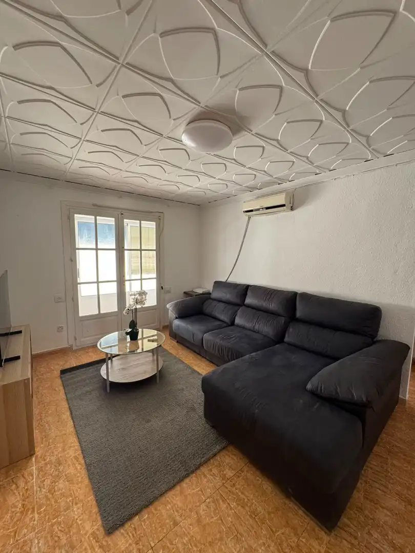 Sala d'estar de Pis de lloguer en Almansa amb Aire condicionat, Calefacció i Moblat