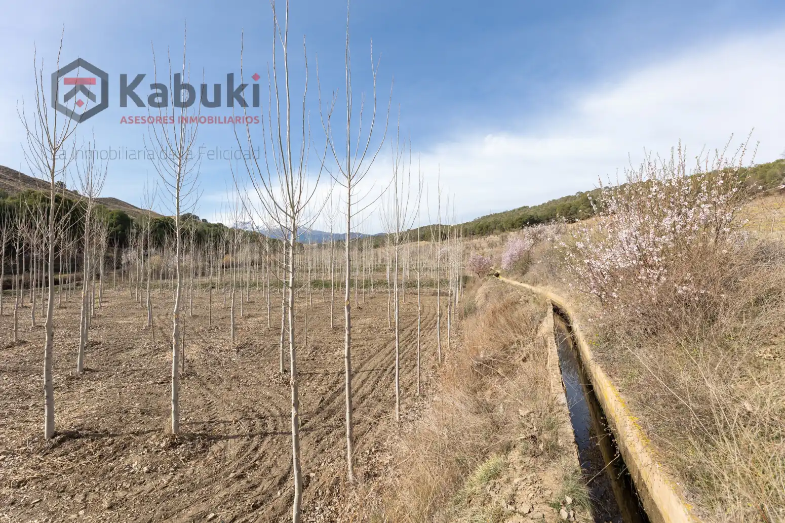 Terreni e lotti in vendita a Guadix - AUTE. VALLE DEL ZALABI, imagen 10