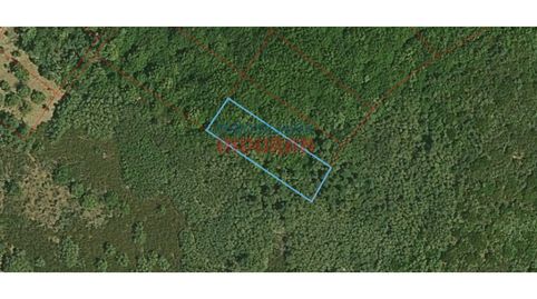 Foto 4 de Finca rústica en venta en Castañar de Ibor, Cáceres