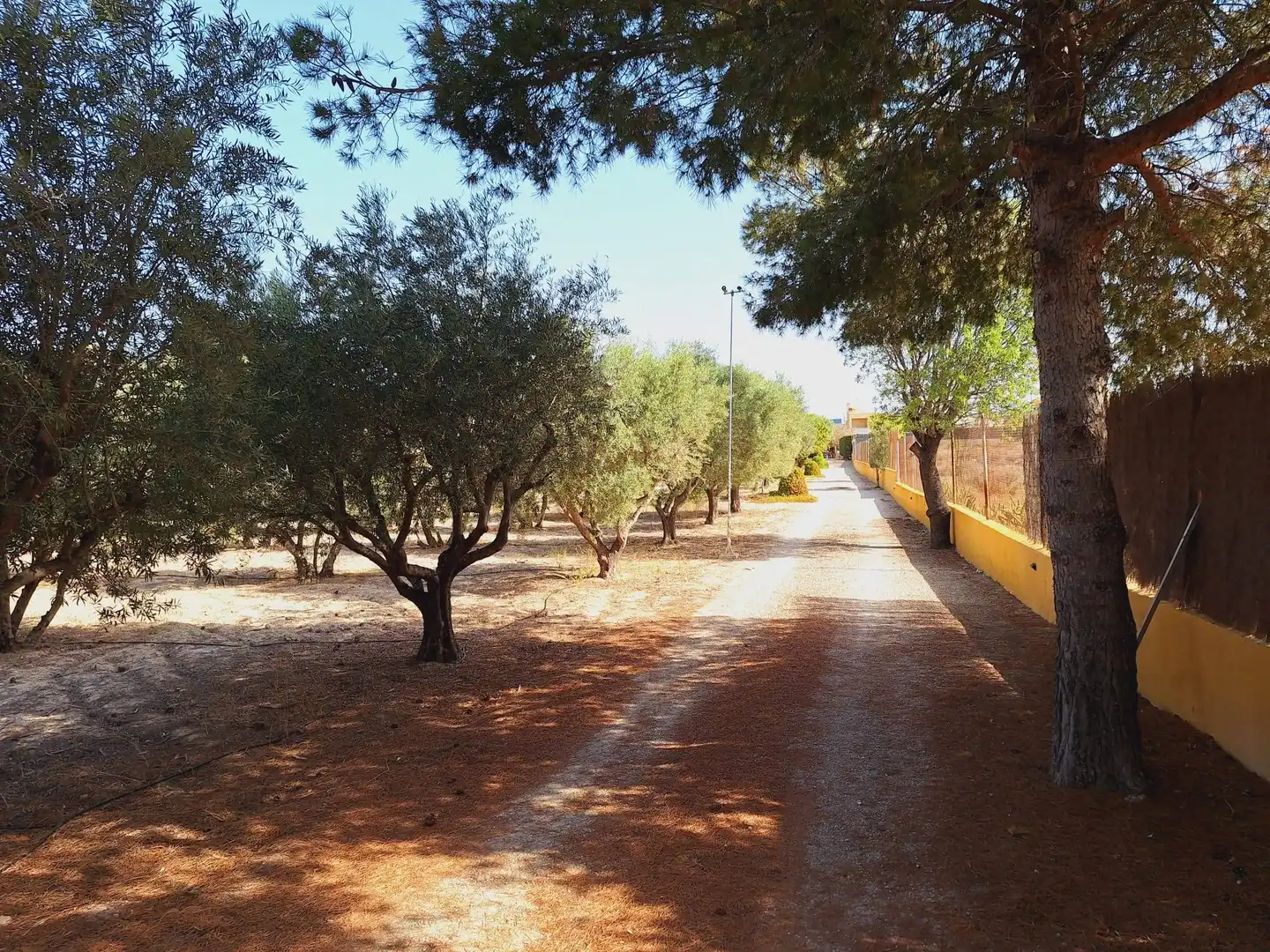 Vista exterior de Casa o xalet en venda en Alicante / Alacant amb Jardí privat, Terrassa i Traster