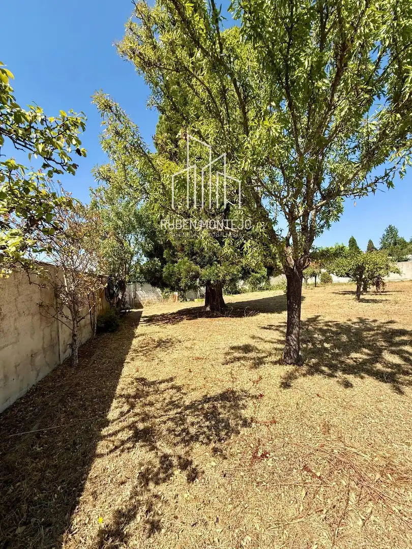 Rural land for sale in Cañaveral, imagen 6